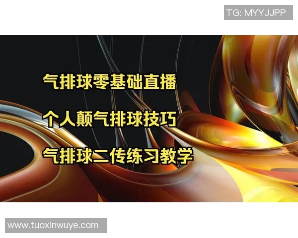 从零起步掌握排球节奏技巧全解析助你轻松成为排球高手