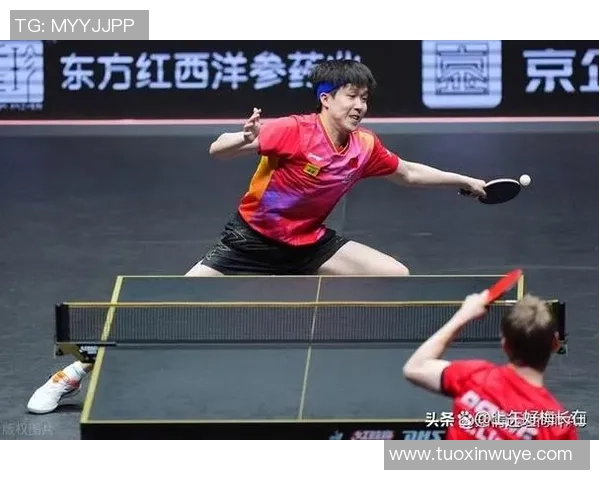 南京羽毛球队的默契配合与战术执行分析大满贯赛事表现点评